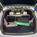 산호대로-80 이미지