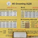 엠에스그루밍 이미지