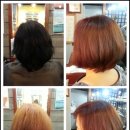 도스헤어 | 규 헤어보떼 블랙빼기