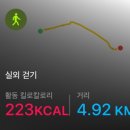 강남 세곡동맛집 형제족발 매장방문 족발 막국수 후기