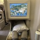 561 | 허니문 시작! ICN-FCO✈️ OZ 561 아시아나 비즈니스 후기