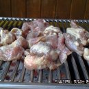 서래갈매기 이미지