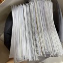 구랑 | 2025년 10월 일상 기록 (친오빠 결혼식, 롯데월드, 다이어트 근황)