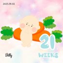 서안양우체국 | 👶🏻 주수 일기 : 임신20주~22주차(feat. 도치맘 예약)