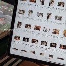 [웨딩준비 / 포토] 내돈내산 본식스냅 “레프트 아이 ”계약 후기