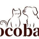 코코바리 이미지