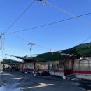 월전공원2 | 부산 기장 장어맛집 고모네 월전활어판매장에서 몸보신함