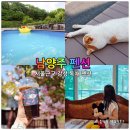 강천산 강노을펜션 | 남양주 가족 펜션 독채 숙소 서울근교 감성펜션