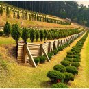 풍산목장 이미지