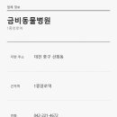 금비동물병원 네이버블로그