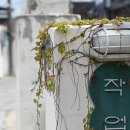 서린상회 이미지
