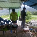 조승희 농장 이미지