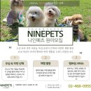 나인페츠 이미지
