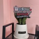 살롱하임 - 서귀포시 태평로371번길 30 | 살롱하임