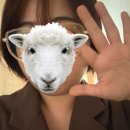 주택관리공단 신청사 | 미래내일일경험 주택관리공단 후기