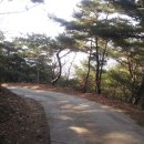 양지-3558 이미지