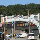 동산정 | [전남/무안군] 전남맛집 동산정 몸보신 식사 후기