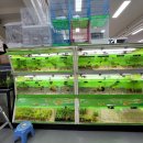 농협본점 이미지