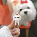 블럭앤 이미지
