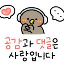 대동집서산 네이버블로그