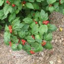 의산농장 이미지