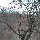 카페산정 이미지