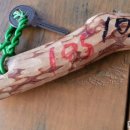 킹스통나무 이미지