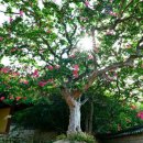 주식회사 희망나무 이미지