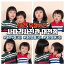 우정동물병원 | 대전 가족사진 사파리사진관 대전점, 형제 우정사진 촬영 대만족 후기