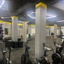 크로스핏 앤츠 이미지