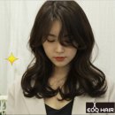 더이쁜머리 - 춘천시 | 더이쁜머리