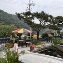 초리포레스트 이미지