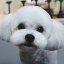 멍분의 멍 이미지