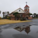 조수목장 이미지