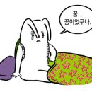 벤디빈