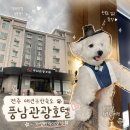 고려관광호텔 | 전주 애견동반숙소 추천 객리단길 근처 가성비 호텔 풍남관광호텔 후기