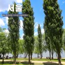 서울 나들이 추천 양화 한강공원 돗자리 텐트 장미터널 주차장 정리