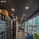 웰스포