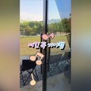 그린관광농원 네이버블로그