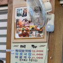 국일 Daum카페