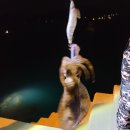 섬마을민박낚시 이미지