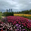 전주명가 이미지