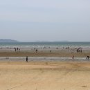 얌샘태안점 이미지