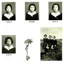 백령중학교 이미지