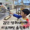 검단 키즈카페 추천! 앵무새랑 놀 수 있는 리프패럿 솔직후기