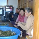 덕실경로당 Daum카페