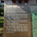 광릉수목원로 | 남양주 여행추천 세계문화유산 광릉세조왕릉 - 방문 후기 및 방문정보 가이드 1장 / 1분 요약
