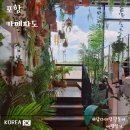 대게빵구룡포점 | 포항 아이랑 여행 코스 구룡포카페 '카페파도' 오션뷰 브런치 맛집