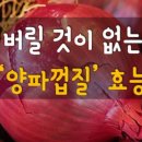 버릴 것이 없는 양파껍질 효능 이미지