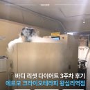 (주) 셀온테라피 | 에르모크라이오테라피 왕십리역점, 바디 리셋 프로젝트 3주 9회차 최종 후기